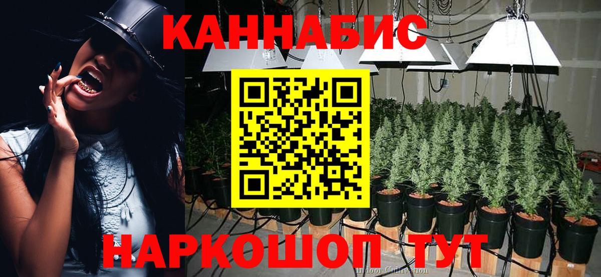 Канабис Bruce Banner  Марихуана ГИДРОПОН  Конопля VHQ  Невинномысск  Шишки марихуана THC 21%  Вход с VPN 